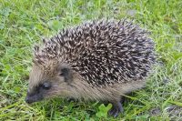 Bildschirmfoto 2020 11 04 um 18.58.20