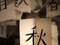 china ag