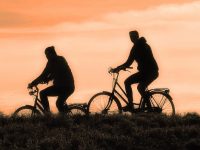 cyclist 3202481 1920