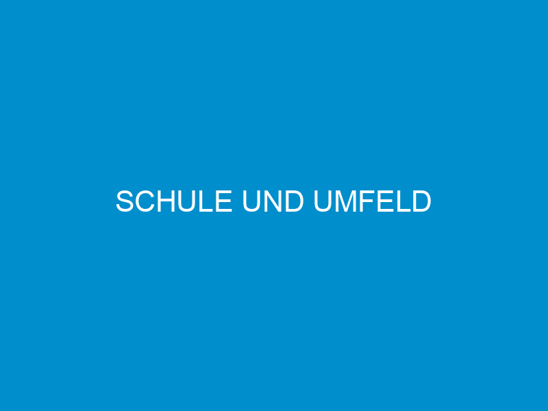 schule und umfeld 459