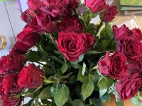 valentinstag00002