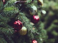 christmas 2595975 1280