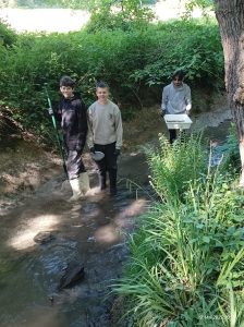 schulbiologisches zentrum 2