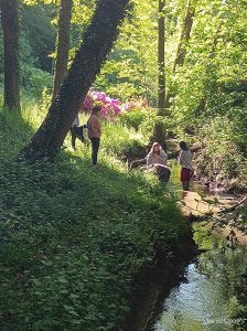 schulbiologisches zentrum 3