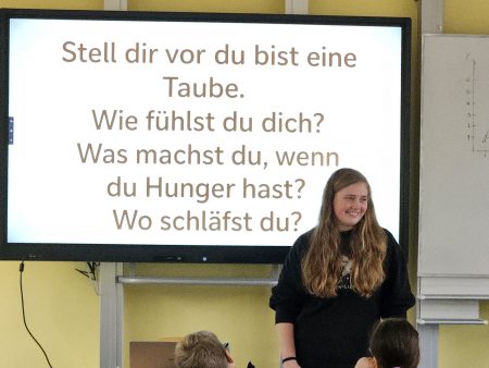 tauben 2025 5